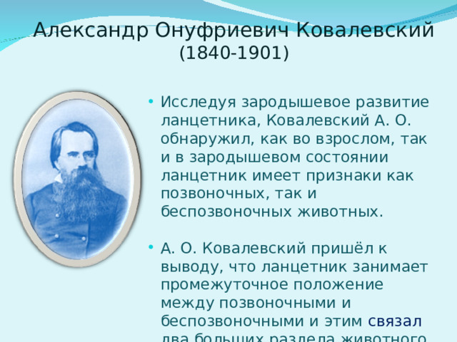    Александр Онуфриевич Ковалевский (1840-1901)   Исследуя зародышевое развитие ланцетника, Ковалевский А. О. обнаружил, как во взрослом, так и в зародышевом состоянии ланцетник имеет признаки как позвоночных, так и беспозвоночных животных.  А. О. Ковалевский пришёл к выводу, что ланцетник занимает промежуточное положение между позвоночными и беспозвоночными и этим связал два больших раздела животного мира. 