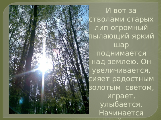 И вот за стволами старых лип огромный пылающий яркий шар поднимается над землею. Он увеличивается, сияет радостным золотым светом, играет, улыбается. Начинается новый день . 