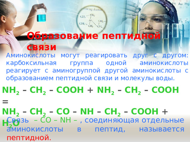 Образование пептидной связи   Аминокислоты могут реагировать друг с другом: карбоксильная группа одной аминокислоты реагирует с аминогруппой другой аминокислоты с образованием пептидной связи и молекулы воды. NH 2 – CH 2 – COOH + NH 2 – CH 2 – COOH = NH 2 – CH 2 – CO – NH – CH 2 – COOH + H 2 O Связь  – CO – NH – , соединяющая отдельные аминокислоты в пептид, называется пептидной. 