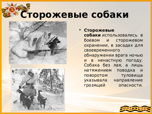 Сторожевые собаки   Сторожевые собаки  использовались в боевом и сторожевом охранении, в засадах для своевременного обнаружении врага ночью и в ненастную погоду. Собака без лая, а лишь натяжением поводка и поворотом туловища указывала направление грозящей опасности.    