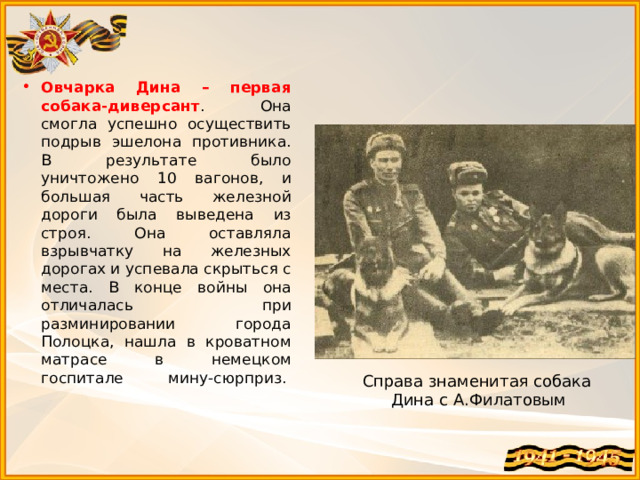 Овчарка Дина – первая собака-диверсант . Она смогла успешно осуществить подрыв эшелона противника. В результате было уничтожено 10 вагонов, и большая часть железной дороги была выведена из строя. Она оставляла взрывчатку на железных дорогах и успевала скрыться с места. В конце войны она отличалась при разминировании города Полоцка, нашла в кроватном матрасе в немецком госпитале мину-сюрприз.     Справа знаменитая собака Дина с А.Филатовым 