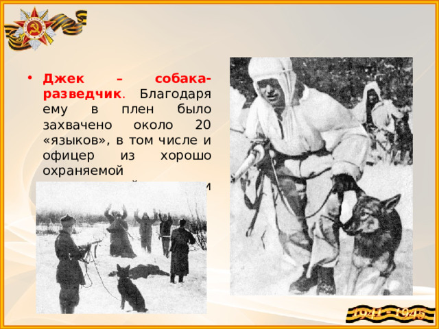 Джек – собака-разведчик . Благодаря ему в плен было захвачено около 20 «языков», в том числе и офицер из хорошо охраняемой неприступной крепости Глогау. 