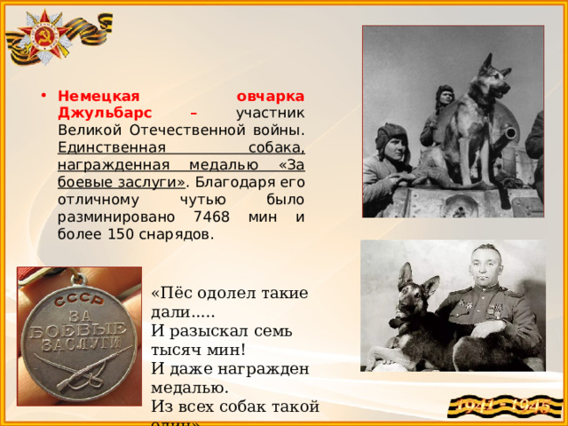 «Пёс одолел такие дали..…  И разыскал семь тысяч мин!  И даже награжден медалью.  Из всех собак такой один» Немецкая овчарка Джульбарс – участник Великой Отечественной войны. Единственная собака, награжденная медалью «За боевые заслуги» . Благодаря его отличному чутью было разминировано 7468 мин и более 150 снарядов. 