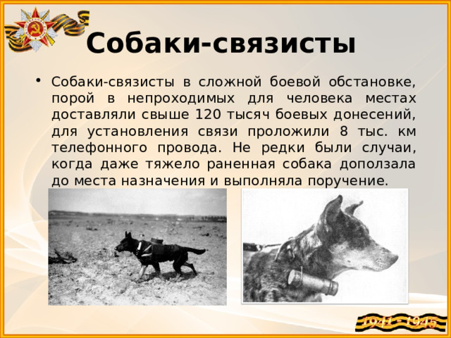 Собаки-связисты   Собаки-связисты в сложной боевой обстановке, порой в непроходимых для человека местах доставляли свыше 120 тысяч боевых донесений, для установления связи проложили 8 тыс. км телефонного провода. Не редки были случаи, когда даже тяжело раненная собака доползала до места назначения и выполняла поручение.   