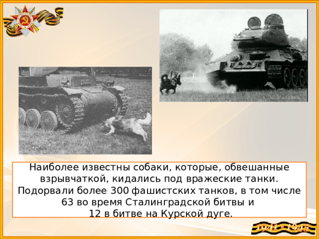 Наиболее известны собаки, которые, обвешанные взрывчаткой, кидались под вражеские танки. Подорвали более 300 фашистских танков, в том числе 63 во время Сталинградской битвы и  12 в битве на Курской дуге. 