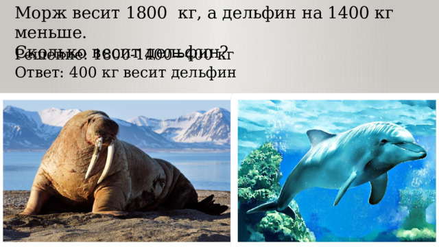 Морж весит 1800 кг, а дельфин на 1400 кг меньше. Сколько весит дельфин? Решение: 1800-1400=400 кг Ответ: 400 кг весит дельфин 