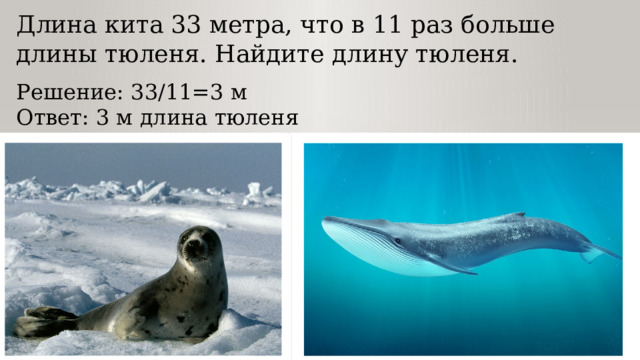 Длина кита 33 метра, что в 11 раз больше длины тюленя. Найдите длину тюленя. Решение: 33/11=3 м Ответ: 3 м длина тюленя 
