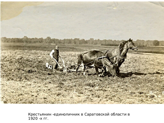 Крестьянин -единоличник в Саратовской области в 1920 -х гг. 