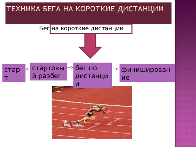   Бег на короткие дистанции стартовый разбег бег по дистанции старт финиширование  