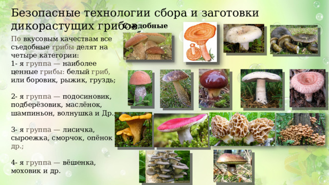 Шиитаке шампиньон. Грибы питаются готовым органическим. Технология грибоводство. Грибная поляна из пластилина. Бизнес грибы.