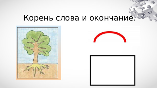 Корень слова и окончание. 
