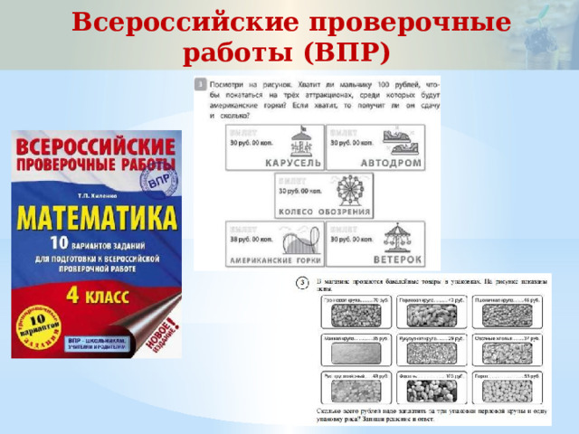 Всероссийские проверочные работы (ВПР) 