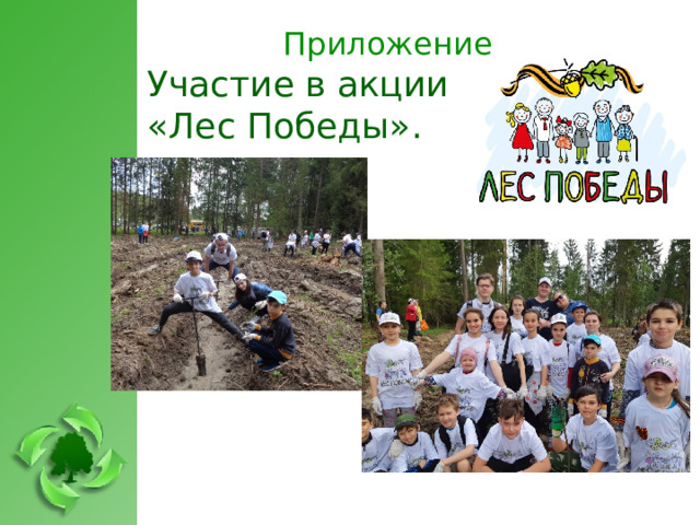  Приложение   Участие в акции «Лес Победы».  