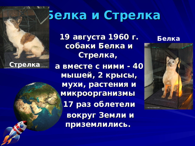 Белка и Стрелка 19 августа 1960 г. собаки Белка и Стрелка, а вместе с ними - 40 мышей, 2 крысы, мухи, растения и микроорганизмы 17 раз облетели  вокруг Земли и приземлились.  Белка Стрелка 
