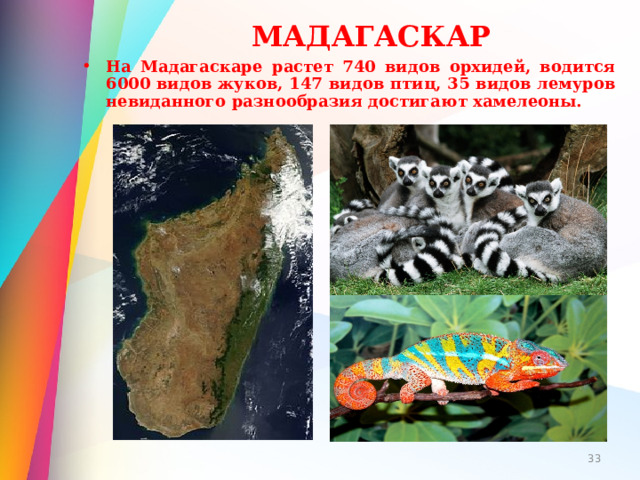 МАДАГАСКАР На Мадагаскаре растет 740 видов орхидей, водится 6000 видов жуков, 147 видов птиц, 35 видов лемуров невиданного разнообразия достигают хамелеоны.  
