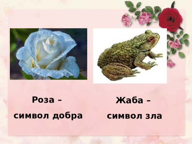 Роза – символ добра Жаба – символ зла 