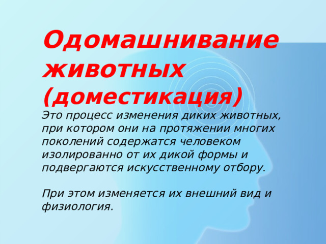 Одомашнивание животных (доместикация) Это процесс изменения диких животных, при котором они на протяжении многих поколений содержатся человеком изолированно от их дикой формы и подвергаются искусственному отбору.  При этом изменяется их внешний вид и физиология. 