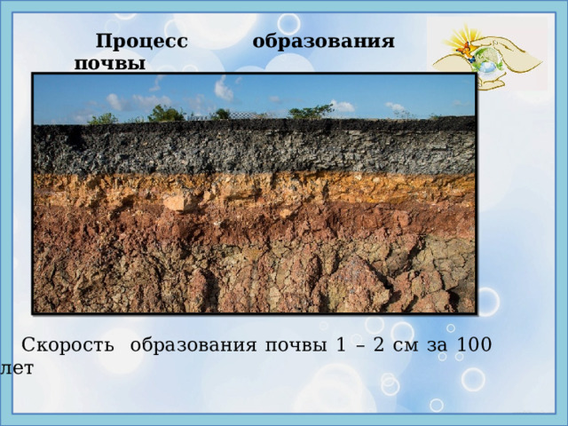 Стадии образования почвы. Процесс образования почвы. Формирование почвы. Как формируется почва. Криогенез почв презентация.