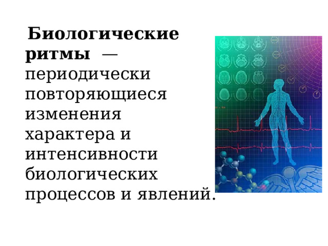  Биологические ритмы  — периодически повторяющиеся изменения характера и интенсивности биологических процессов и явлений. 