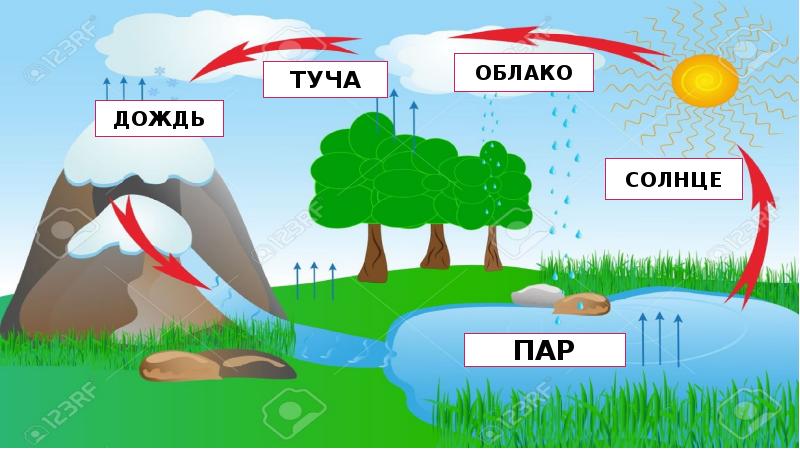 Почему идет дождь и дует ветер презентация