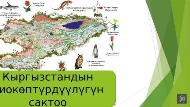 Кыргызстандын биокөптүрдүүлүгүн сактоо 