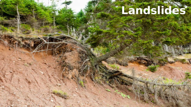 Landslides 