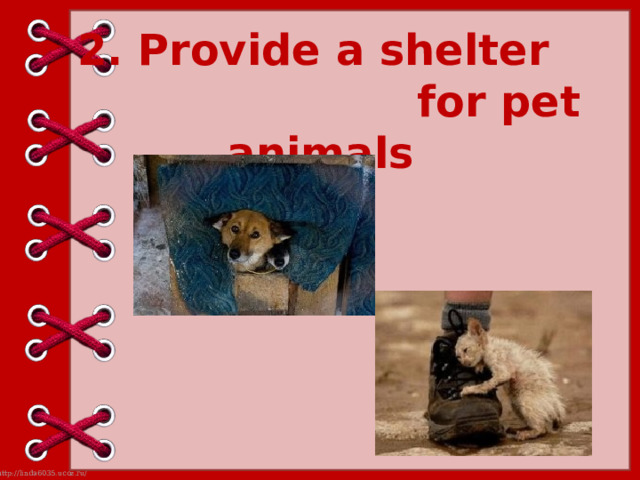 2. Provide a shelter  for pet animals 