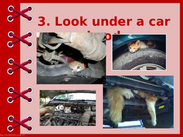 3. Look under a car hood 
