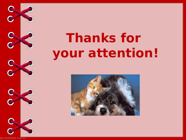 Thanks for  your attention! 