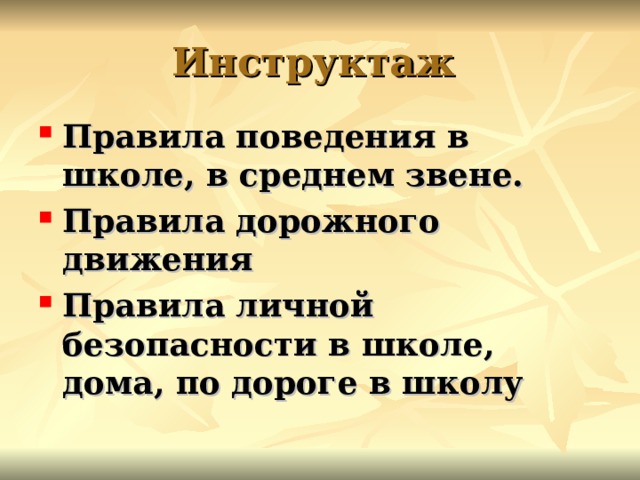 Инструктаж Правила поведения в школе, в среднем звене. Правила дорожного движения Правила личной безопасности в школе, дома, по дороге в школу 