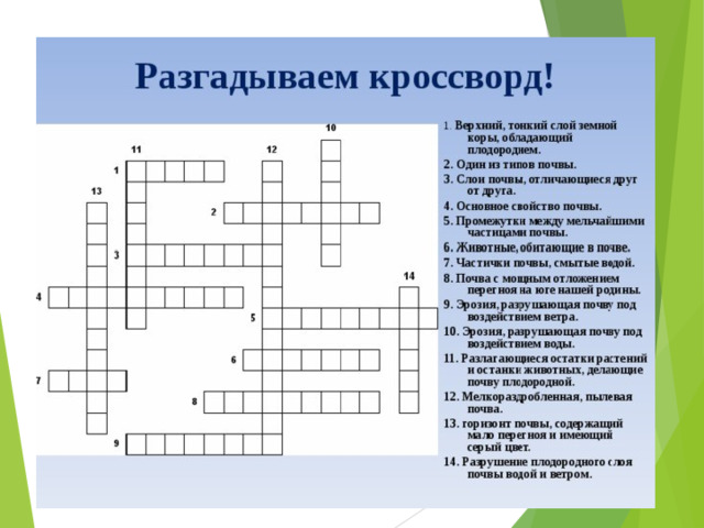 Кроссворд по экологическому праву
