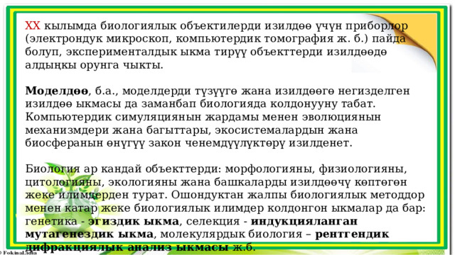 XX кылымда биологиялык объектилерди изилдөө үчүн приборлор (электрондук микроскоп, компьютердик томография ж. б.) пайда болуп, эксперименталдык ыкма тирүү объекттерди изилдөөдө алдыңкы орунга чыкты. Моделдөө , б.а., моделдерди түзүүгө жана изилдөөгө негизделген изилдөө ыкмасы да заманбап биологияда колдонууну табат. Компьютердик симуляциянын жардамы менен эволюциянын механизмдери жана багыттары, экосистемалардын жана биосферанын өнүгүү закон ченемдүүлүктөрү изилденет. Биология ар кандай объекттерди: морфологияны, физиологияны, цитологияны, экологияны жана башкаларды изилдөөчү көптөгөн жеке илимдерден турат. Ошондуктан жалпы биологиялык методдор менен катар жеке биологиялык илимдер колдонгон ыкмалар да бар: генетика - эгиздик ыкма , селекция - индукцияланган мутагенездик ыкма , молекулярдык биология – рентгендик дифракциялык анализ ыкмасы ж.б. 