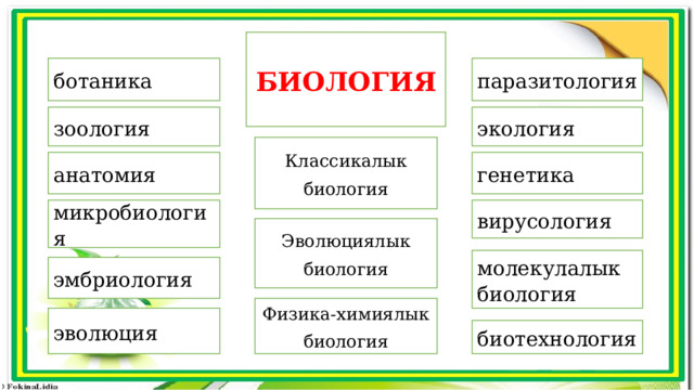 БИОЛОГИЯ паразитология ботаника зоология   экология  Классикалык биология генетика анатомия  вирусология микробиология Эволюциялык биология молекулалык биология эмбриология  Физика-химиялык биология эволюция биотехнология  