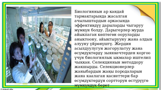 Биологиянын ар кандай тармактарында жасалган ачылыштардын аркасында эффективдүү дарыларды чыгаруу мүмкүн болду. Дарыгерлер мурда айыкпаган көптөгөн ооруларды аныктоону, айыктырууну жана алдын алууну үйрөнүштү. Жердин асылдуулугун жогорулатуу жана өсүмдүктөрдү зыянкечтерден коргоо үчүн биологиялык ыкмалар иштелип чыккан. Селекциянын методдору жакшырды. Селекционерлер жаныбардын жаңы породаларын жана каалаган касиеттери бар өсүмдүктөрдүн сортторун өстүрүүгө мүмкүндүк берет  