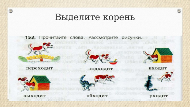 Выделите корень 