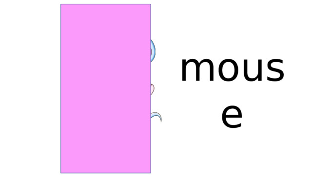 mouse 