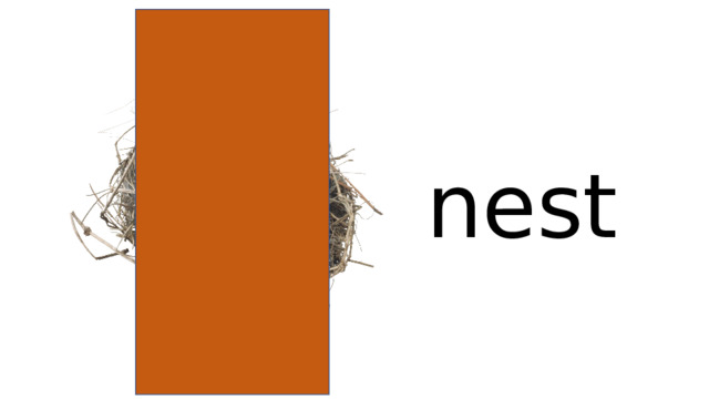 nest 