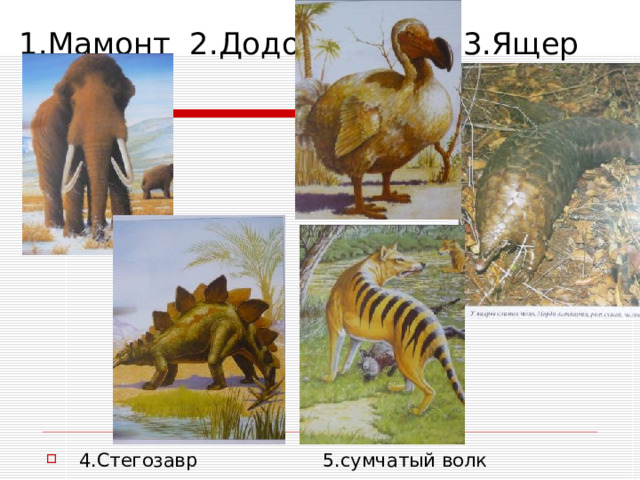 1.Мамонт 2.Додо 3.Ящер 4.Стегозавр 5.сумчатый волк 