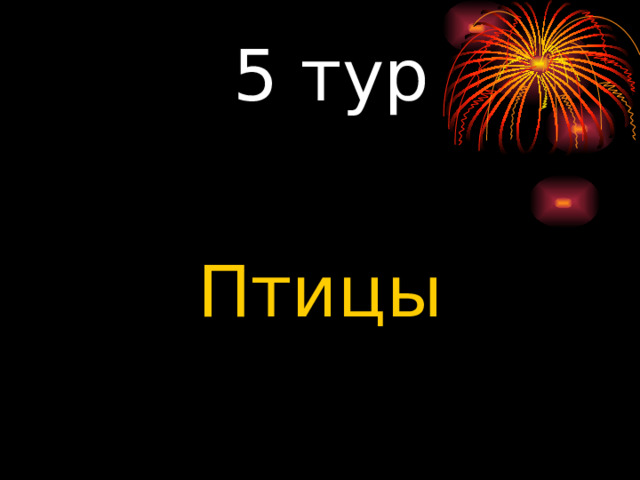  5 тур Птицы 