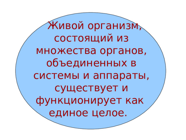  Живой организм, состоящий из множества органов, объединенных в системы и аппараты, существует и функционирует как  единое целое.  