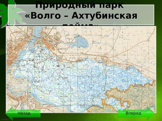 Волго-Ахтубинская Пойма на карте России. Волго-Ахтубинская Пойма на карте. Где находится Волго Ахтубинская Пойма на карте России. Окская Пойма на карте.