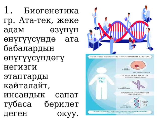 1. Биогенетика гр. Ата-тек, жеке адам өзүнүн өнүгүүсүндө ата бабалардын өнүгүүсүндөгү негизги этаптарды кайталайт, инсандык сапат тубаса берилет деген окуу.   