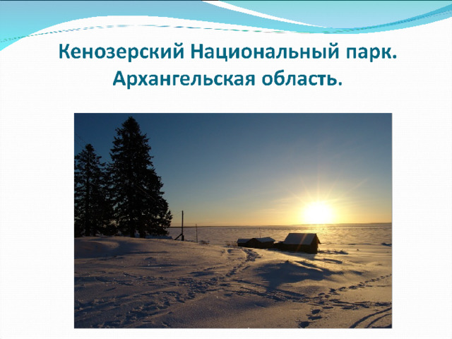 Кенозерский национальный парк проект 3 класс Презентация по географии на тему: " Европейский Север"