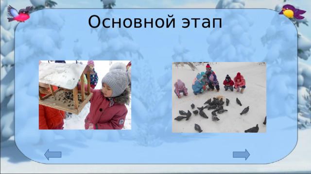 Проект зимующие птицы наши друзья