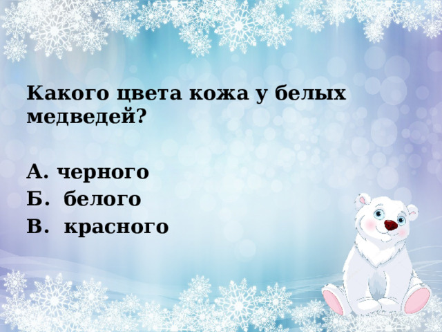 Какого цвета кожа у белых медведей?           А. черного Б.  белого В.  красного 