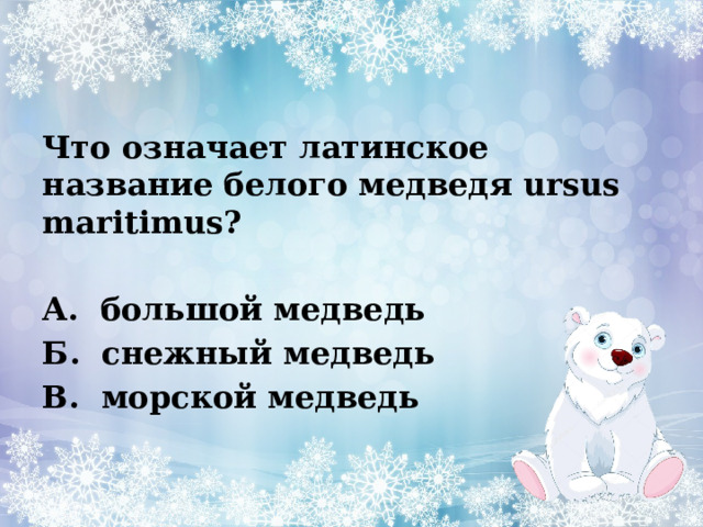 Что означает латинское название белого медведя ursus maritimus?   А.  большой медведь Б.  снежный медведь В.  морской медведь  