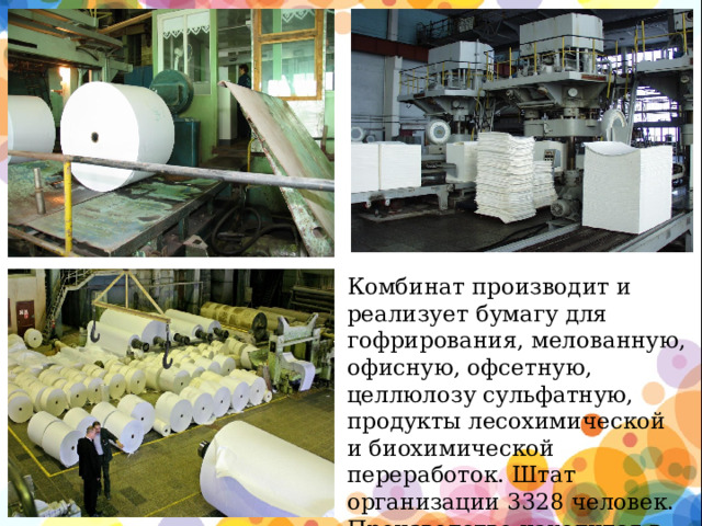 Комбинат производит и реализует бумагу для гофрирования, мелованную, офисную, офсетную, целлюлозу сульфатную, продукты лесохимической и биохимической переработок. Штат организации 3328 человек. Производство находится в Архангельской области, городе Коряжма. 