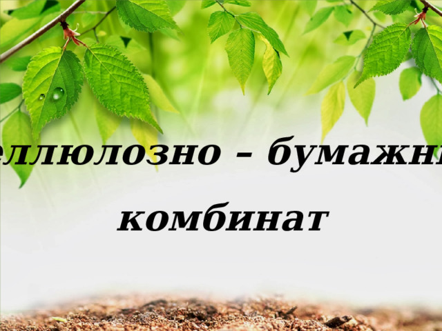  Целлюлозно – бумажный комбинат 