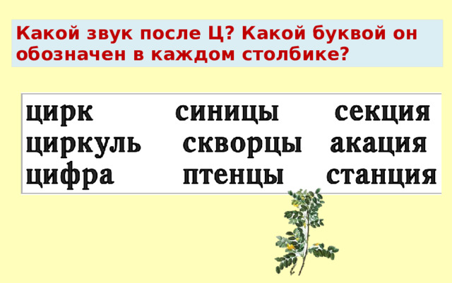 Чем похожи, чем различаются слова? Какой звук после Ц? Какой буквой он обозначен в каждом столбике? 