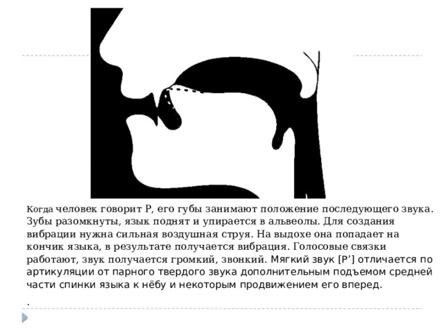 Когда  человек говорит Р, его губы занимают положение последующего звука. Зубы разомкнуты, язык поднят и упирается в альвеолы. Для создания вибрации нужна сильная воздушная струя. На выдохе она попадает на кончик языка, в результате получается вибрация. Голосовые связки работают, звук получается громкий, звонкий. Мягкий звук [Р’] отличается по артикуляции от парного твердого звука дополнительным подъемом средней части спинки языка к нёбу и некоторым продвижением его вперед. . 